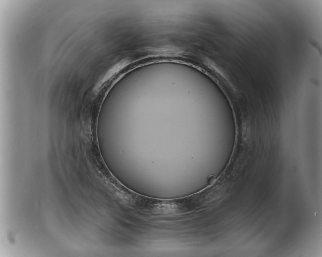 X0000102301315200808011530