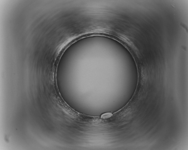 X0000102301316200808011530