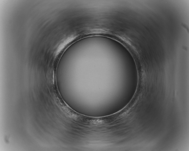 X0000102301317200808011530