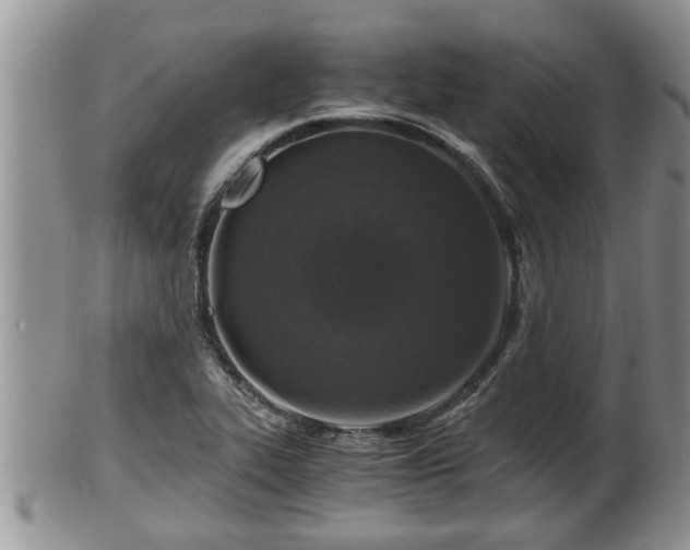 X0000102301319200808011530