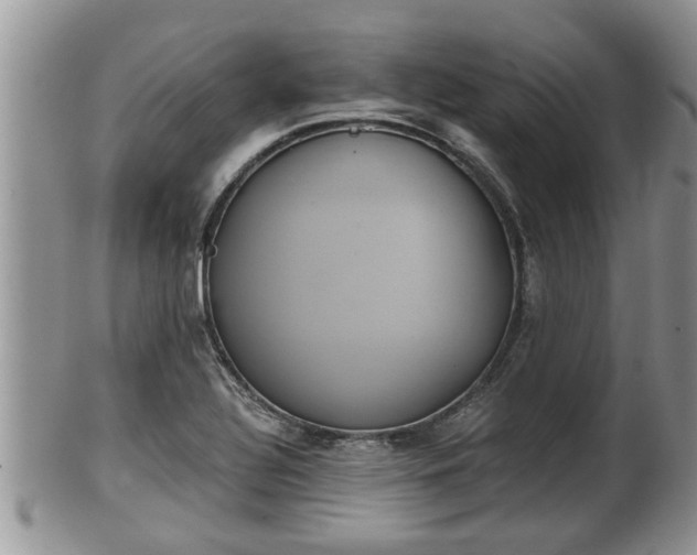 X0000102301320200808011530