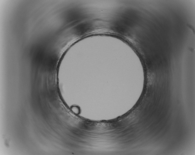 X0000102301322200808011530