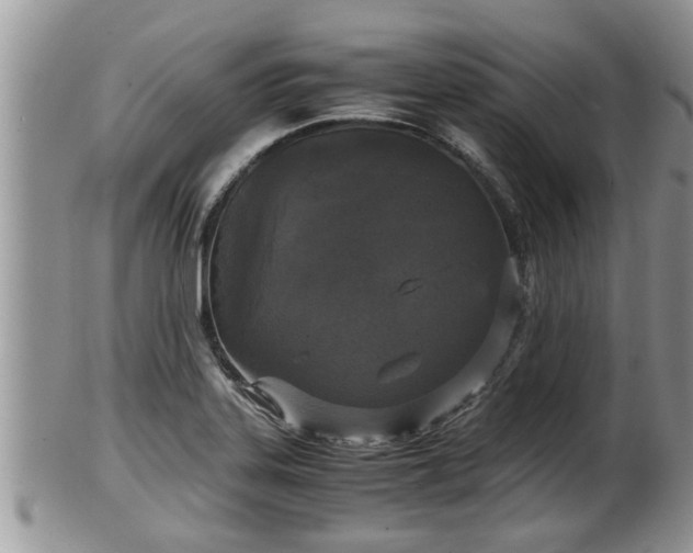 X0000102301323200808011530