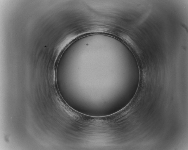 X0000102301324200808011530