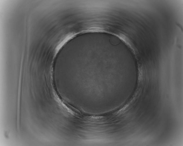 X0000102301325200808011530