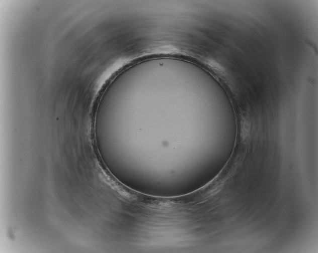 X0000102301326200808011530