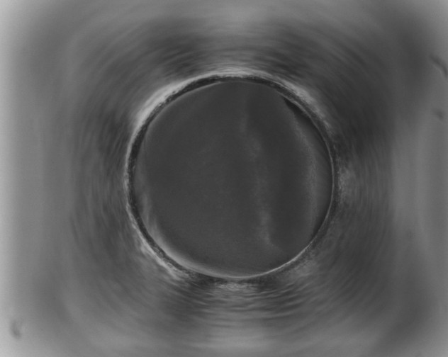 X0000102301327200808011530