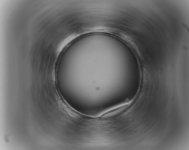 X0000102301328200808011530