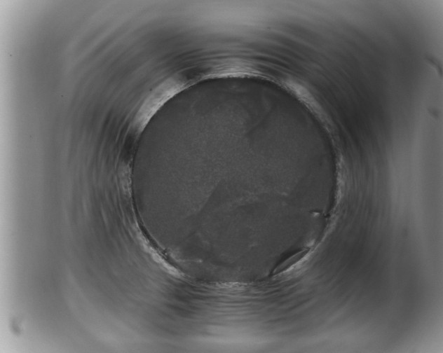 X0000102301329200808011530