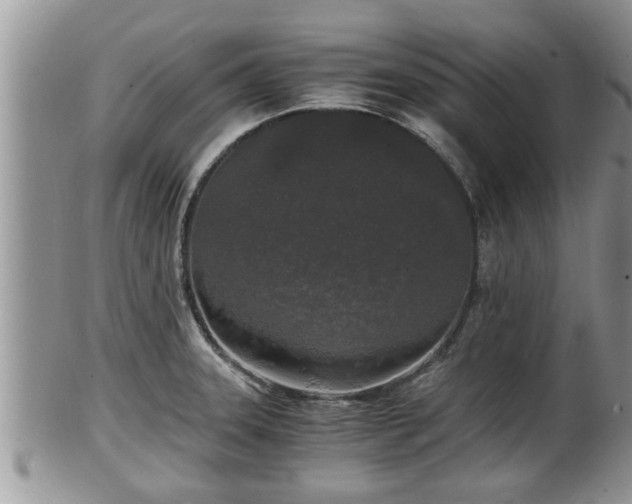 X0000102301331200808011530