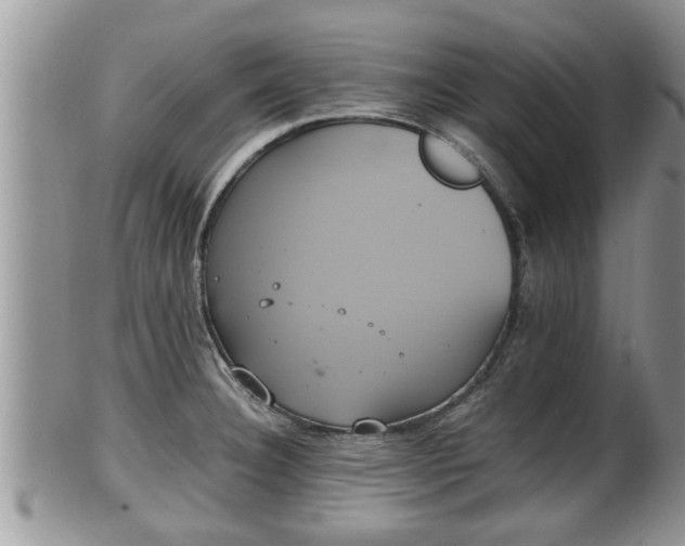 X0000102301332200808011530