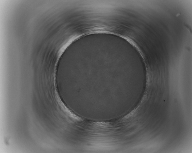 X0000102301333200808011530