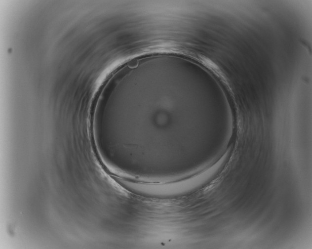 X0000102301334200808011530