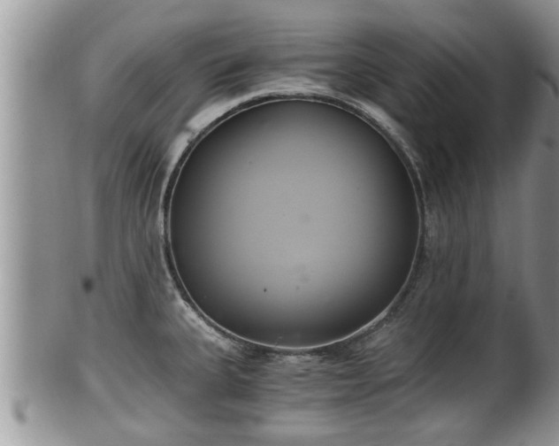 X0000102301335200808011530