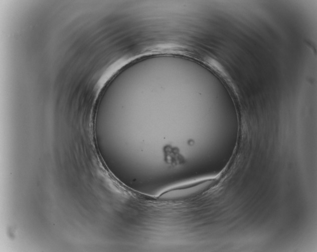 X0000102301336200808011530