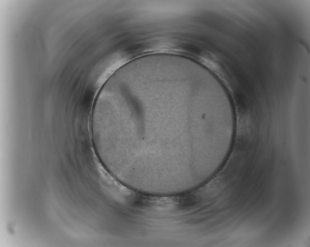 X0000102301338200808011531