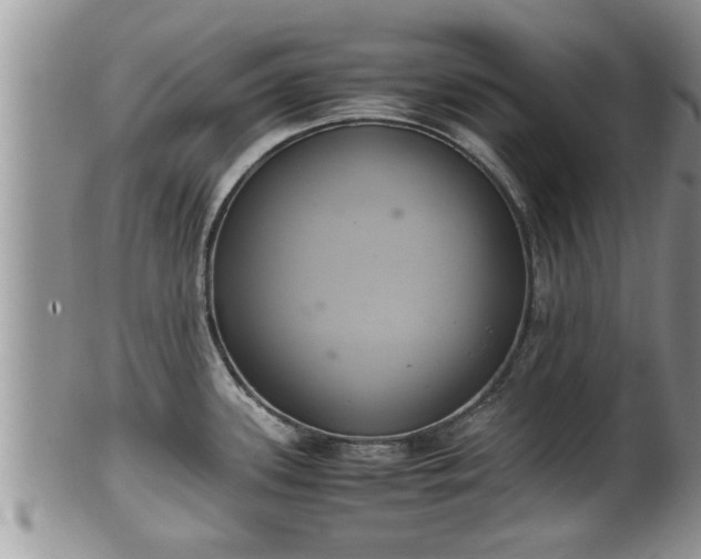 X0000102301339200808011531