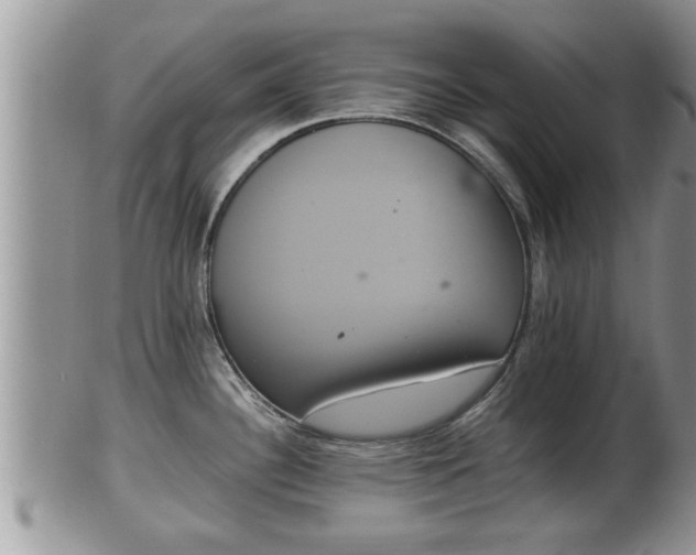 X0000102301340200808011531