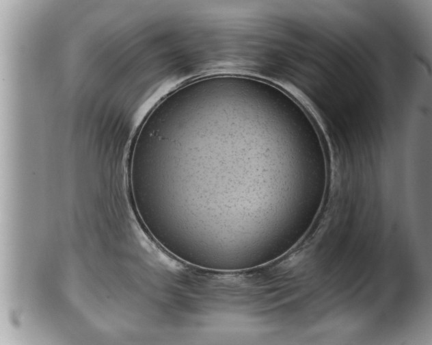 X0000102301341200808011531