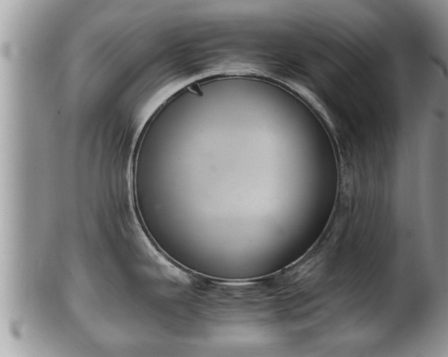 X0000102301343200808011531