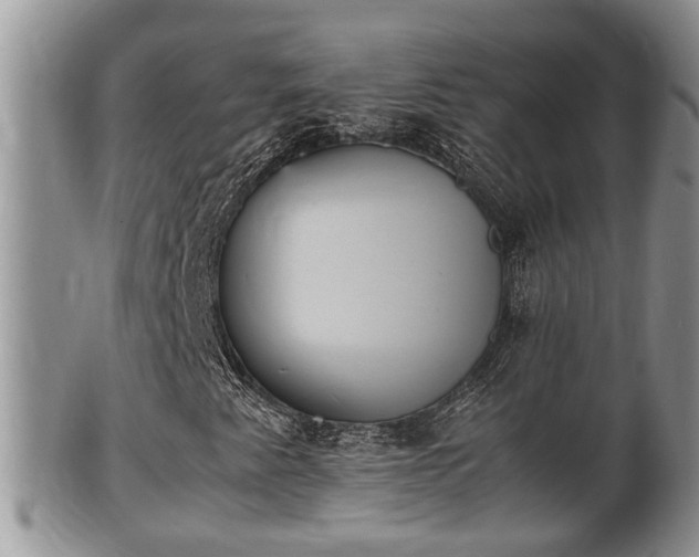 X0000102301345200808011530