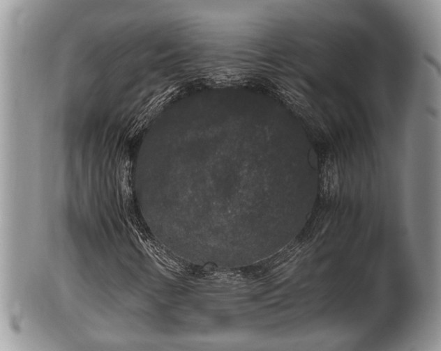 X0000102301346200808011530