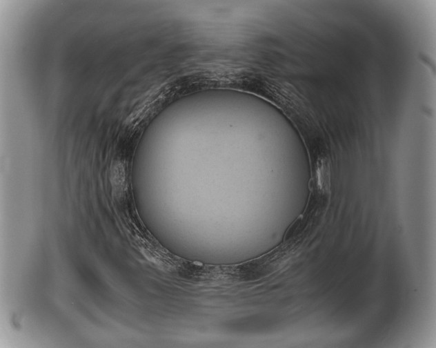 X0000102301347200808011530