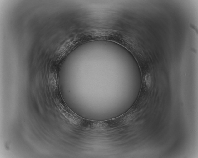 X0000102301348200808011530