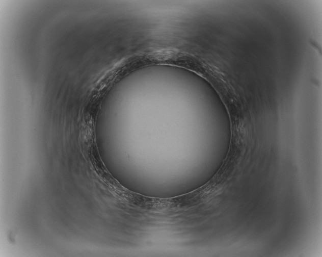 X0000102301349200808011530