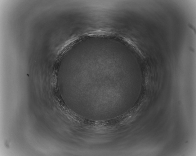 X0000102301350200808011530