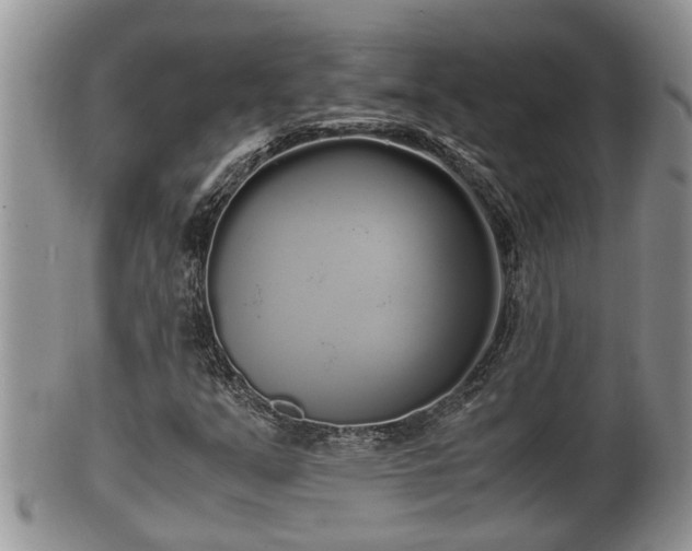 X0000102301351200808011530