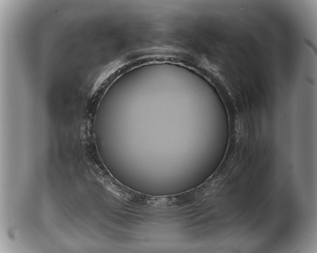 X0000102301352200808011530