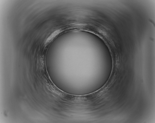 X0000102301354200808011530