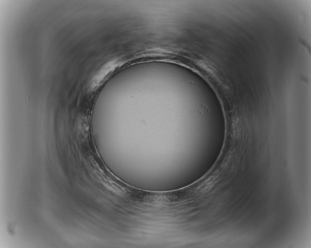 X0000102301355200808011530