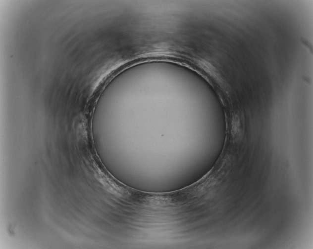 X0000102301356200808011530