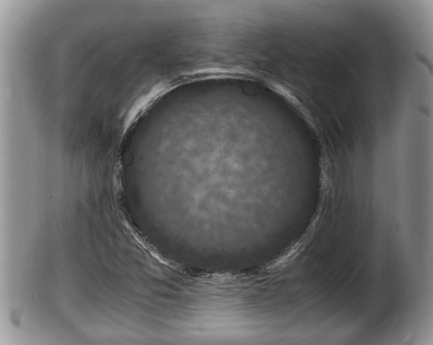 X0000102301357200808011530