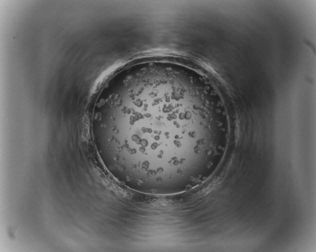 X0000102301358200808011530