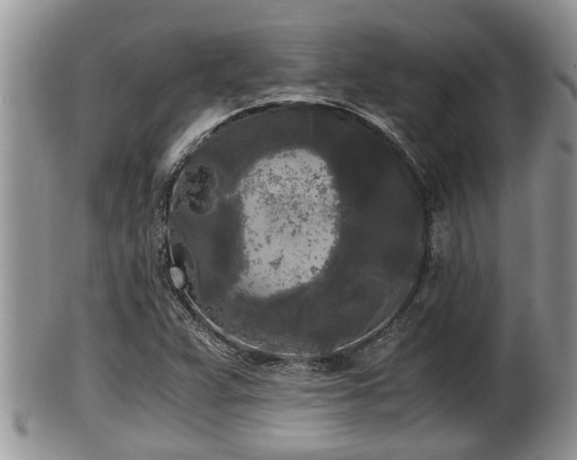 X0000102301359200808011530