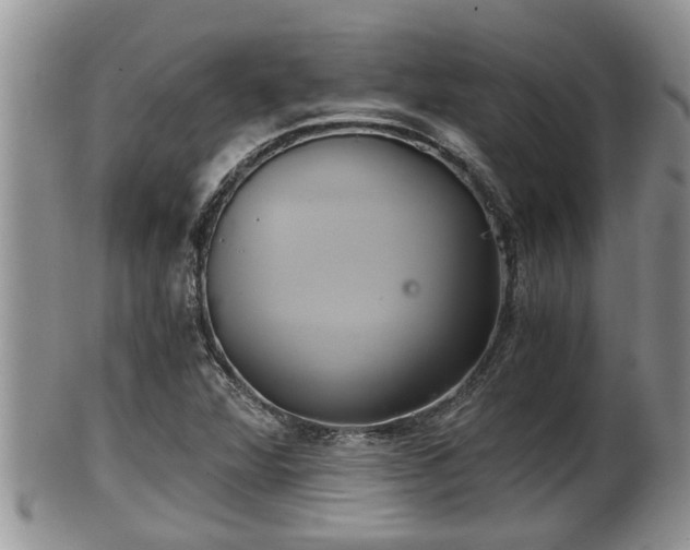 X0000102301360200808011530