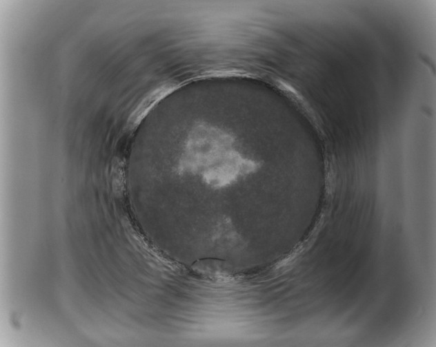 X0000102301361200808011530