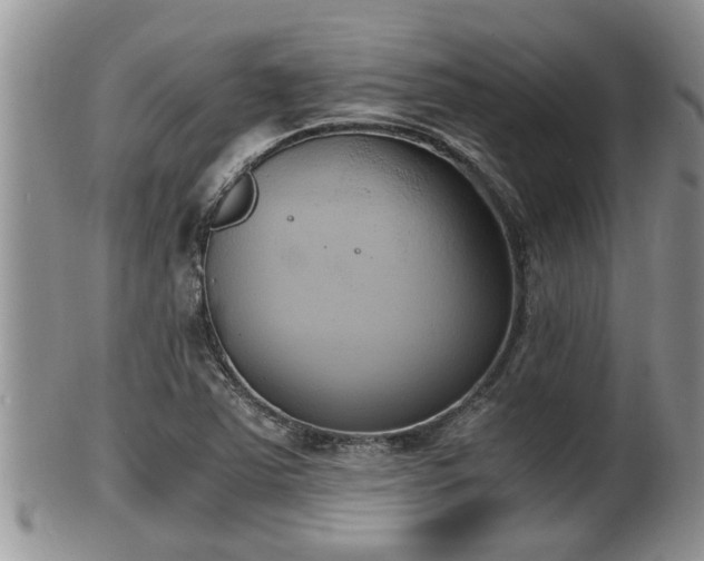 X0000102301363200808011530