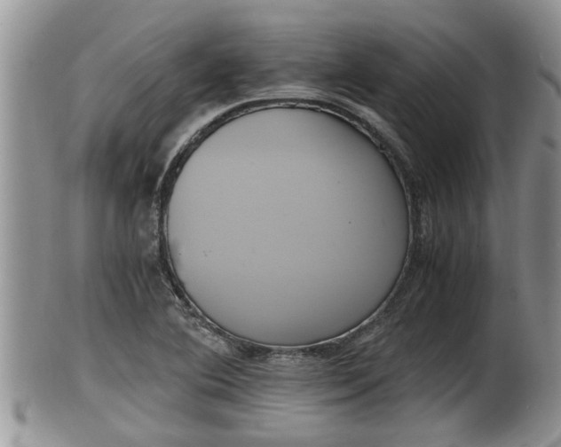 X0000102301364200808011530