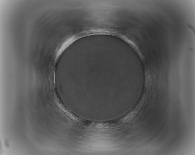 X0000102301365200808011530