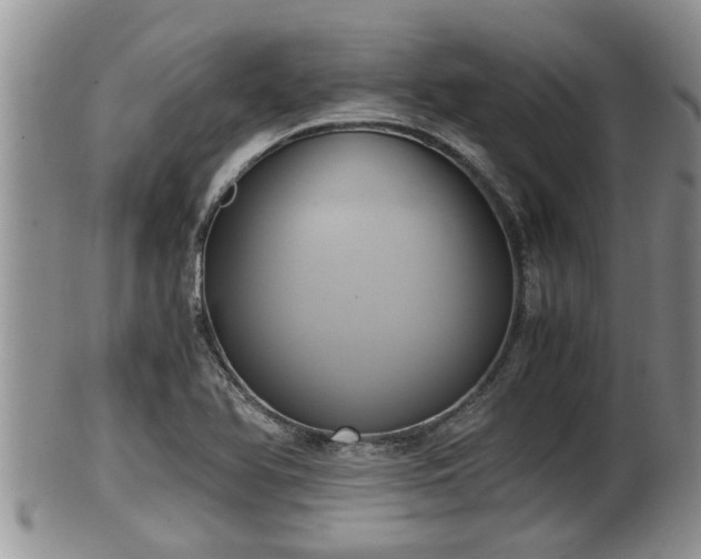 X0000102301366200808011530