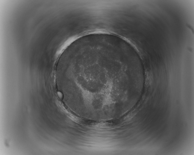 X0000102301367200808011530