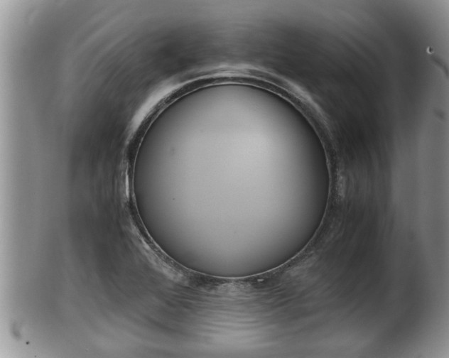 X0000102301368200808011530