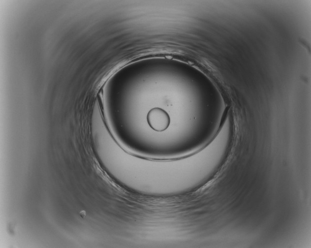 X0000102301369200808011530