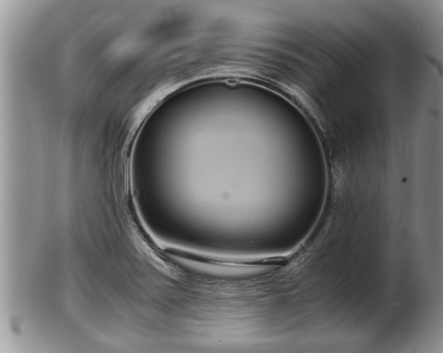 X0000102301371200808011530