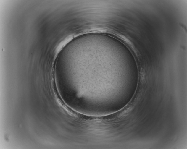 X0000102301373200808011530