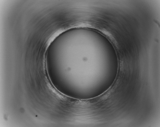 X0000102301374200808011530